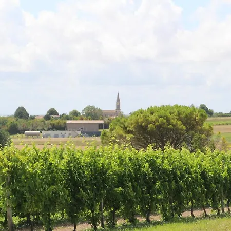 Domaine De Kiba - Le Chai Barzan